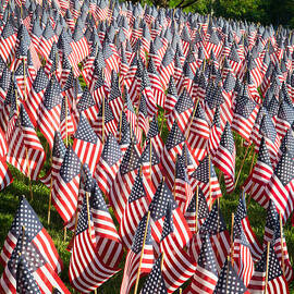 Sea of Flags