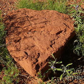 Sedona Heart Rock by Mars Besso