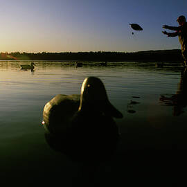 Setting Out Decoy For Duck Hunting by Jose Azel