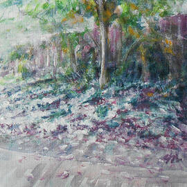 Shades Of Purple by Jane See