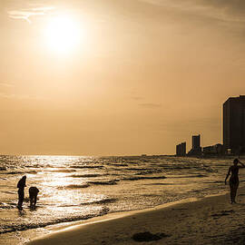 Shadows of the Beach by David Morefield