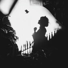 Shadows On The Wall by Terry F
