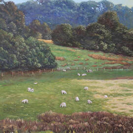 Sheep in a field in the Devon countryside by Martin Davey