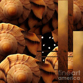 Shell Abstract