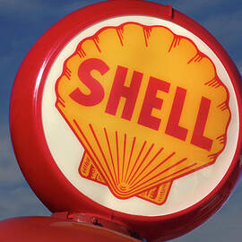 Shell Globe by Mike McGlothlen