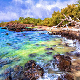 Shoreline at Puako by Dominic Piperata