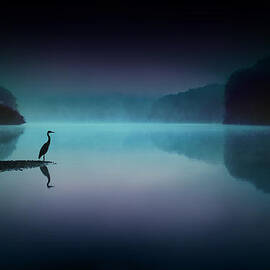 Silent Night by Rob Blair