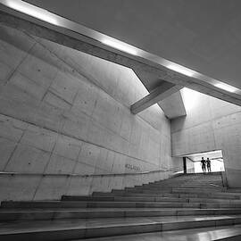 Silver by Filipe P Neto