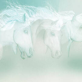 Silver manes by Valerie Anne Kelly