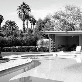 SINATRA POOL AND CABANA NOIR Palm Springs CA by William Dey