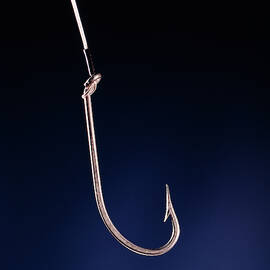 Single Sharp Fishing Hook by Vintage Images