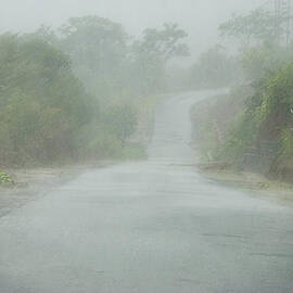 SKC 1084 Monsoon Drive by Sunil Kapadia