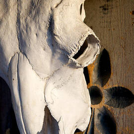 Skull on Door