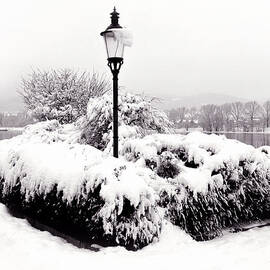 Snowy Lamp Post by the River Danube by Menega Sabidussi