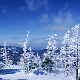 Snowy Mountain And Snow Covered Trees by Jose Azel