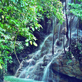 Sommerset Falls Jamaica by Carey Chen