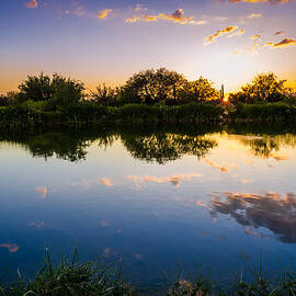 Sonoran Desert Sunset Reflection by Scott McGuire