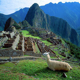 South America, Peru by Jaynes Gallery