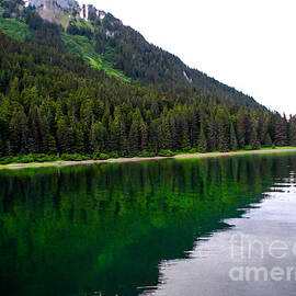 Southeast Shoreline by Robert Bales