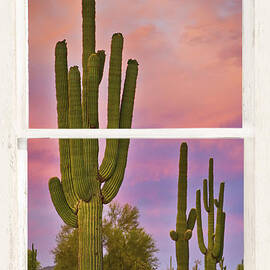 Southwest Desert Colorful Distressed Window Art View by James BO Insogna