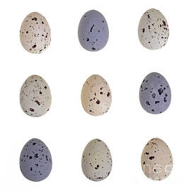 Speckled egg tic-tac-toe by Jane Rix