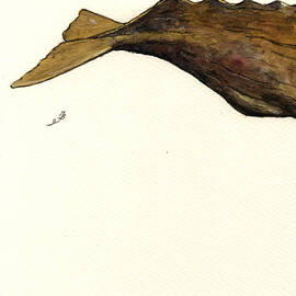 Sperm whale third part by Juan  Bosco