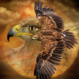 Spirit Of The Wind by Carol Cavalaris