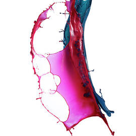 Splashing Of The Color Paint by Level1studio