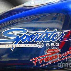 Sportster 883 by Stefano Senise