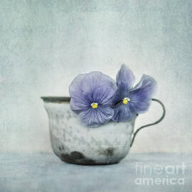 spring blues with a hint of yellow by Priska Wettstein