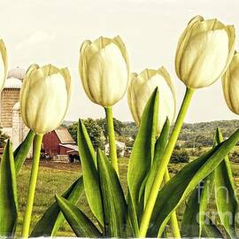 Spring Down on the Farm by Edward Fielding