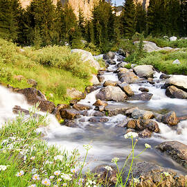 Spring Flowers And Flowing Water by Josh Miller
