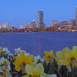 Spring into Boston