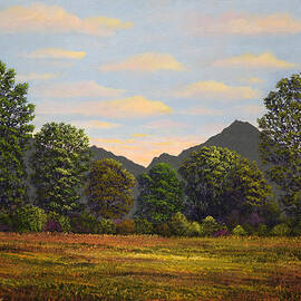 Spring Meadow At Sutter Buttes by Frank Wilson