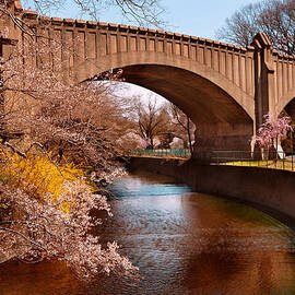 Spring - Springtime in Newark by Mike Savad