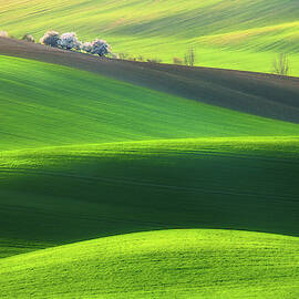 Spring Time... by Krzysztof Browko