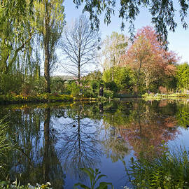 Spring Water Garden at Giverny by Alex Cassels