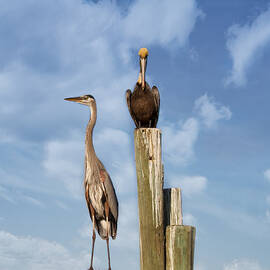 Standing Guard