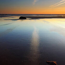 Starfish Sunset by Michael Dawson