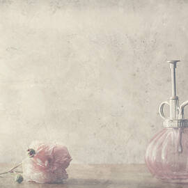 Stay by Delphine Devos