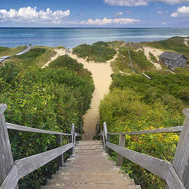 Steps to the Beach by Katherine Gendreau