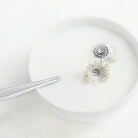 Still Life by Delphine Devos