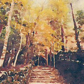 Stone Path Through a Forest in Autumn by Beverly Claire Kaiya