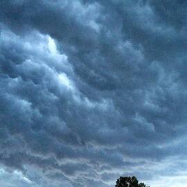 Storm is brewing by Sue Morris