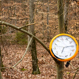 Strange find in the forest - orange clock hanging on tree by Matthias Hauser