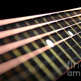 String Abstract LARGE by Dan Holm