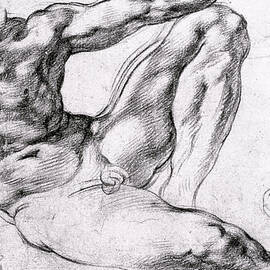 Study for the Creation of Adam by Michelangelo 