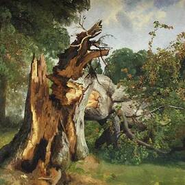 Study Of A Tree Trunk by Alexandre Calame