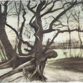 Study of a Tree by Vincent van Gogh