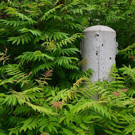 Sumac and Post to Plug in Block Heater 